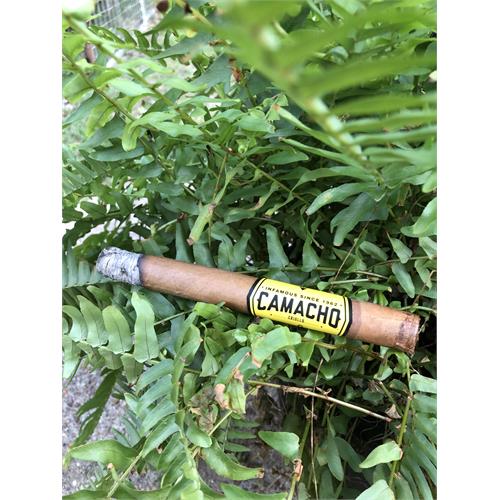Camacho Criollo Toro 6  * 50