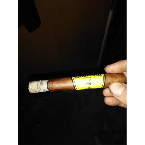 Camacho Criollo Toro 6  * 50