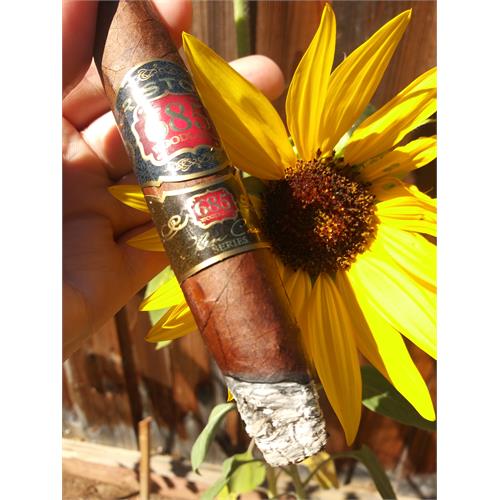 Kristoff 685 Woodlawn Perfecto 6 1/2 * 60