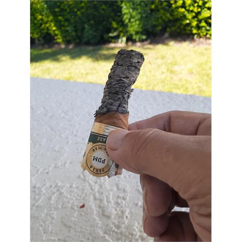 Perla del Mar Short Robusto 3 3/4 * 56