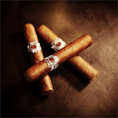 Asylum Premium 44x4 4  * 44