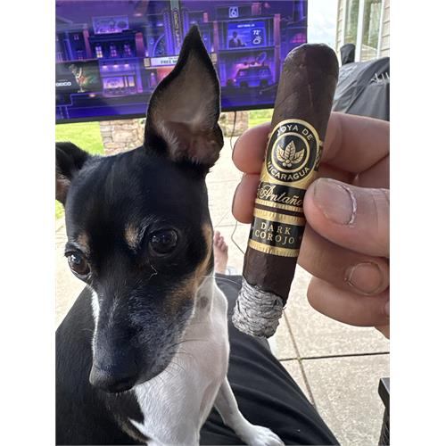 Joya de Nicaragua Antano Dark Corojo Azarosa 4 1/2 * 52