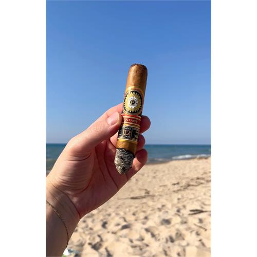 Perdomo Double Aged 12 Year Connecticut Epicure 6  * 56