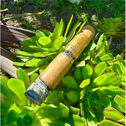 Perdomo Reserve Champagne Super Toro 6  * 60