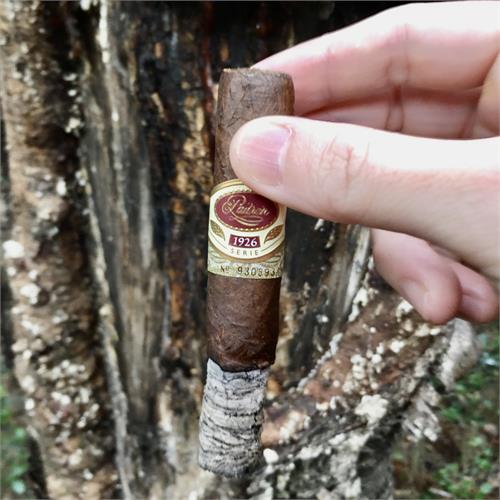 Padron 1926 Serie No. 6 Maduro 4 3/4 * 50