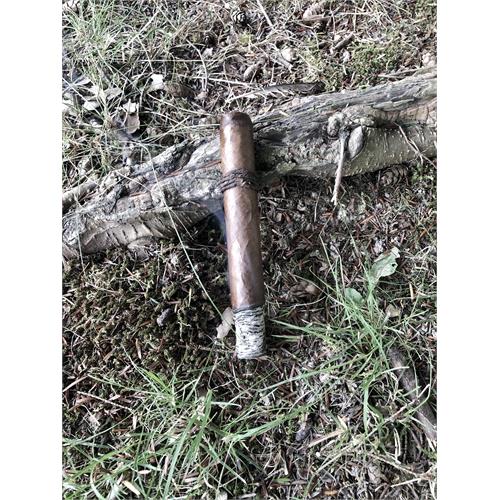 CAO Amazon Basin 6  * 52