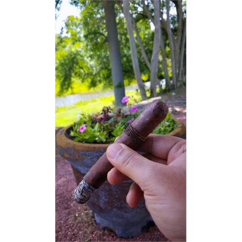 CAO Amazon Basin 6  * 52