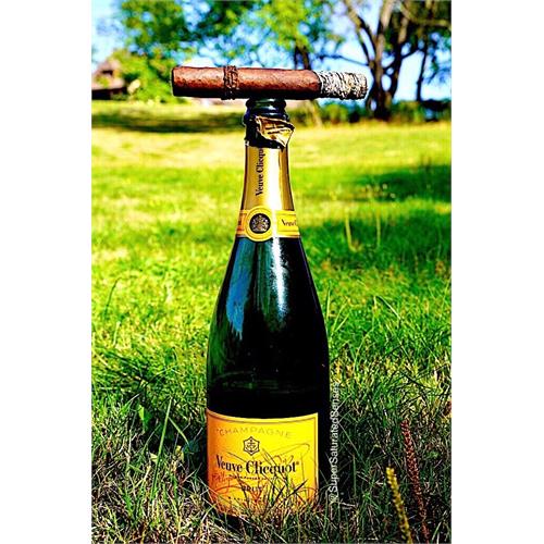 CAO Amazon Basin 6  * 52