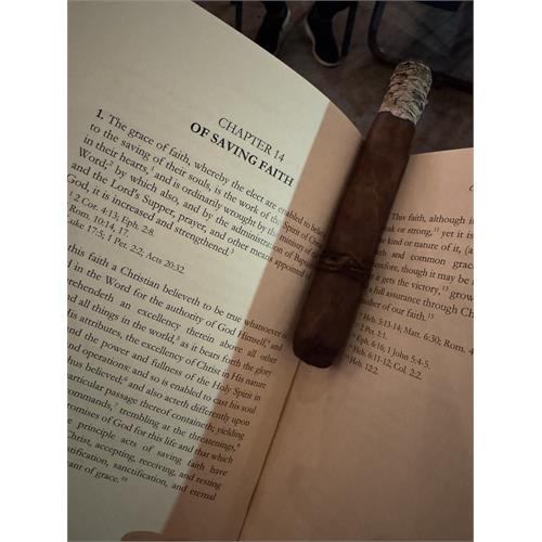 CAO Amazon Basin 6  * 52