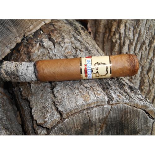 Asylum Insidious Robusto 5  * 50