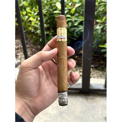 Asylum Insidious Churchill 7  * 48