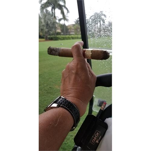 Asylum Insidious Gordo 7  * 64