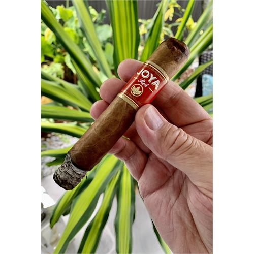 Joya Red Toro 6  * 52