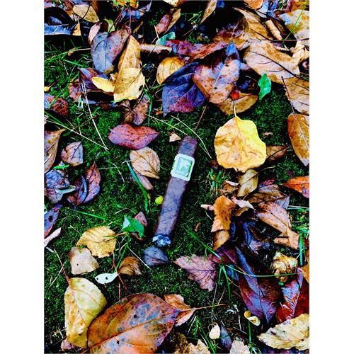 Herrera Esteli Norteno Robusto Grande 5 1/2 * 54