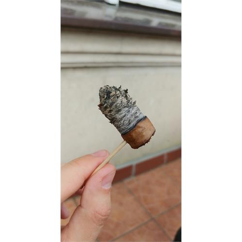 Aging Room La Boheme Musico 6 1/4 * 60