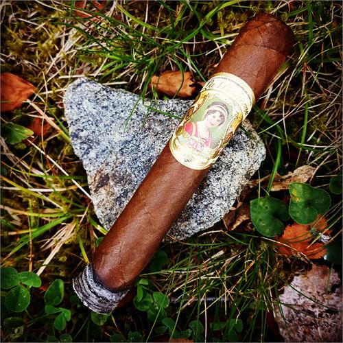 Aging Room La Boheme Pittore 5 1/8  * 52