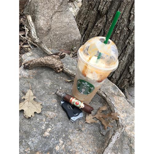 Ashton Symmetry Robusto 5  * 50