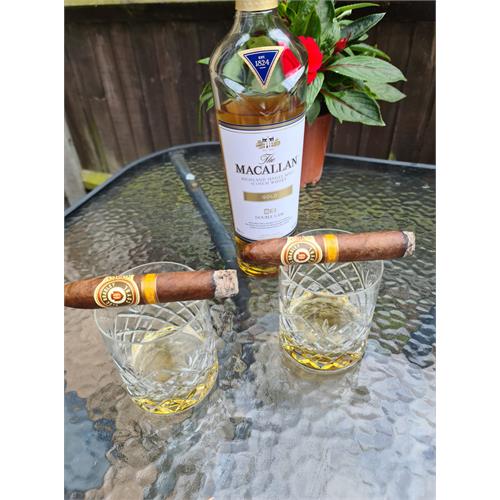 Alec Bradley Coyol Gordo 6  * 60