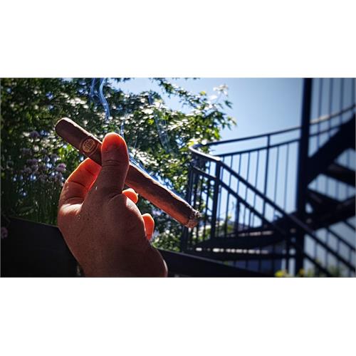 Illusione Fume D Amour Clementes 6 1/2 * 48