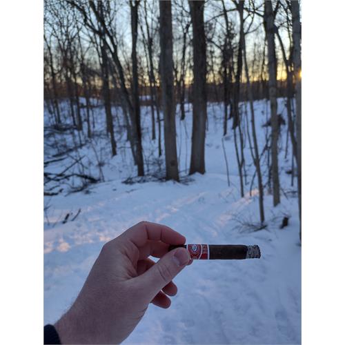 Romeo y Julieta 1875 Petite Bully 4  * 38