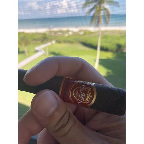 Punch Rare Corojo Rothschild 4 1/2 * 50