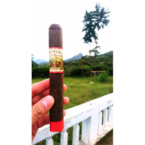 New World Gobernador Toro 6 1/2 * 55