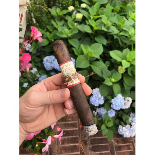 New World Gobernador Toro 6 1/2 * 55