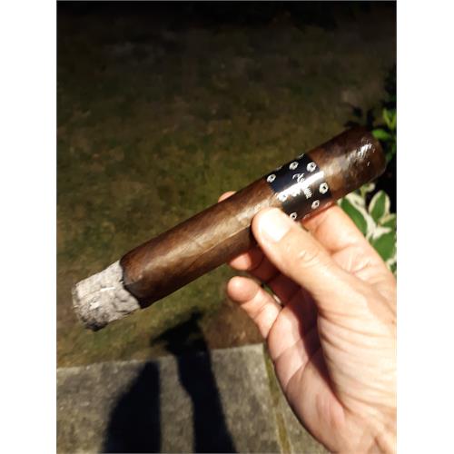 Asylum 13 Maduro 880 8  * 80