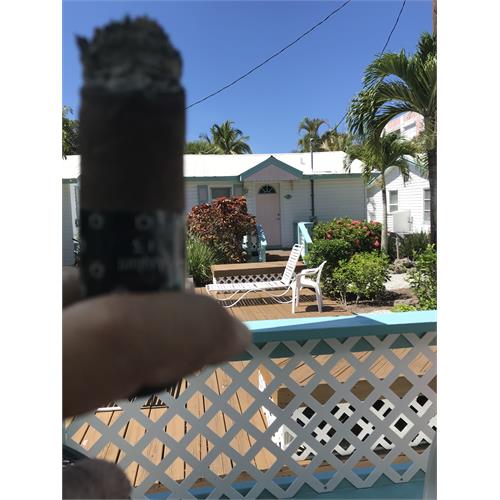 Asylum 13 Maduro 880 8  * 80