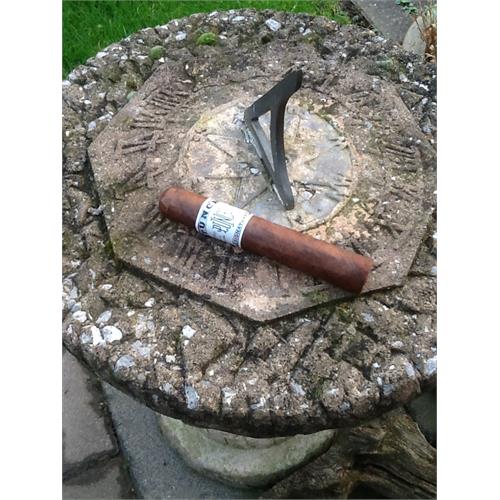 Punch Signature Gigante 6  * 60