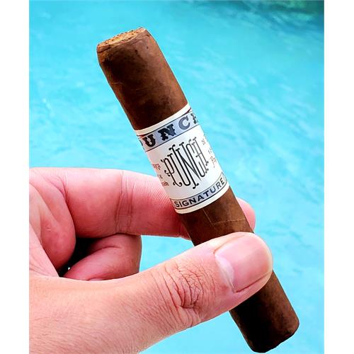 Punch Signature Robusto 5  * 54
