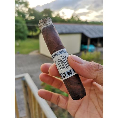 Punch Signature Rothschild 4 1/2 * 50