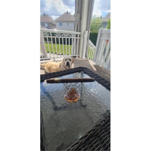 Padron 1964 Anniversary  A  Natural 8 1/4 * 50