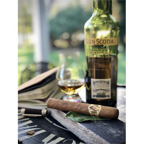 AVO XO Intermezzo 5  * 50