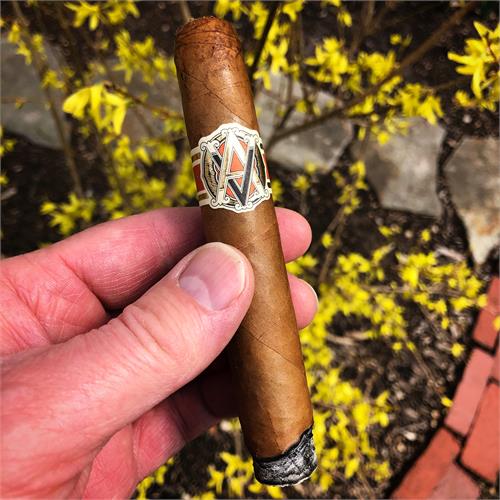 AVO XO Intermezzo 5  * 50