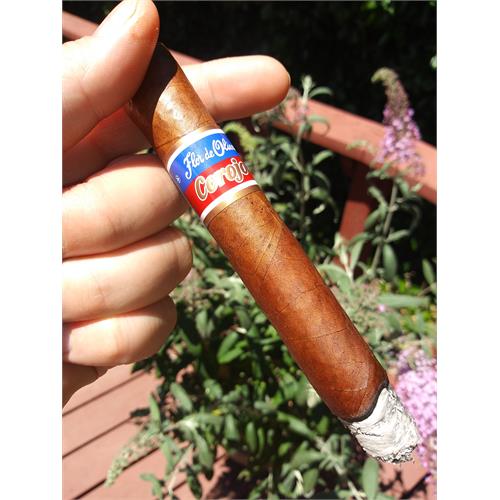 Flor de Oliva Corojo Toro 6  * 50