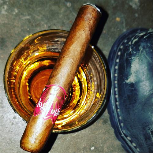 Isla del Sol SunGrown Robusto 5  * 52