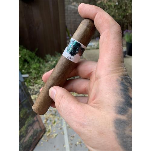 Asylum Schizo 60x6 6  * 60