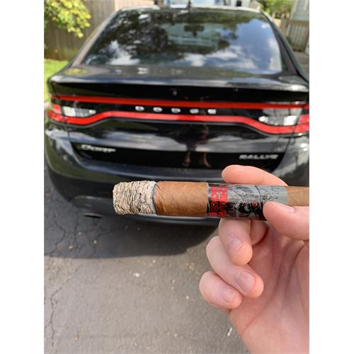 Chillin  Moose Gigante 6  * 60