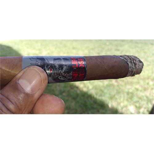 Chillin  Moose Gigante 6  * 60