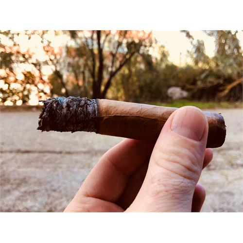 Leaf by Oscar Connecticut Toro 6  * 52