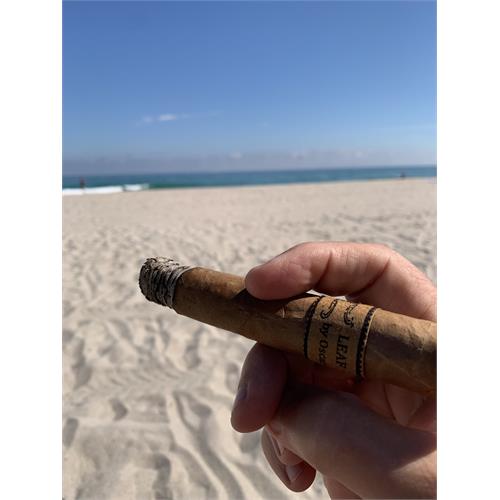 Leaf by Oscar Connecticut Toro 6  * 52