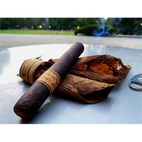 Leaf by Oscar Maduro Sixty 6  * 60