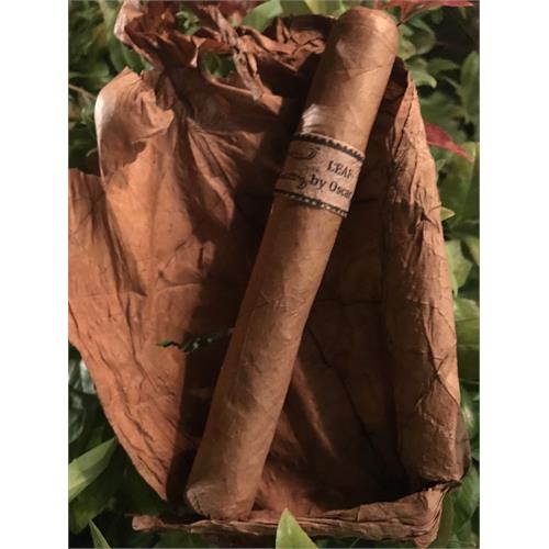 Leaf by Oscar Connecticut Sixty 6  * 60