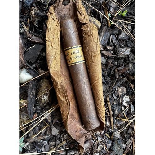 Leaf by Oscar Corojo Sixty 6  * 60