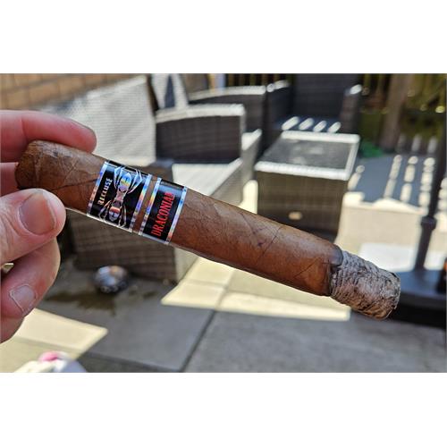 Recluse Draconian Sidewinder 3 7  * 57