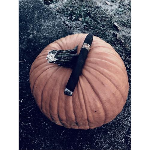 Nica Rustica Belly 7 1/2 * 54