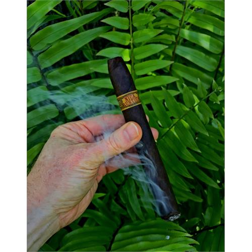 Nica Rustica Belly 7 1/2 * 54