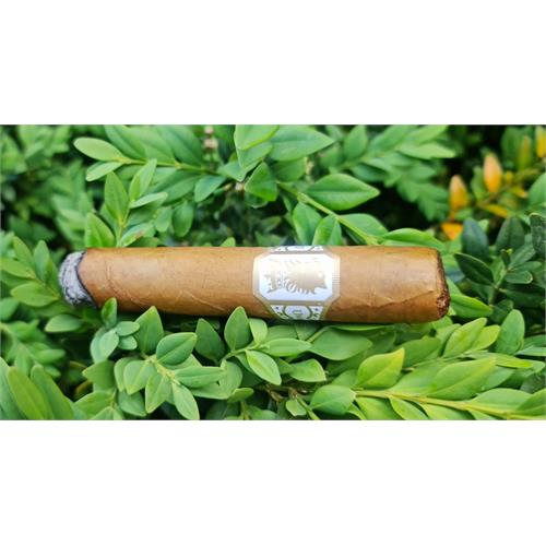 Liga Undercrown Connecticut Shade Robusto 5  * 54
