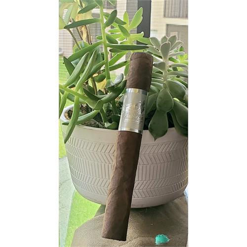 CAO Flathead Steel Horse Bullneck 6 1/2 * 52